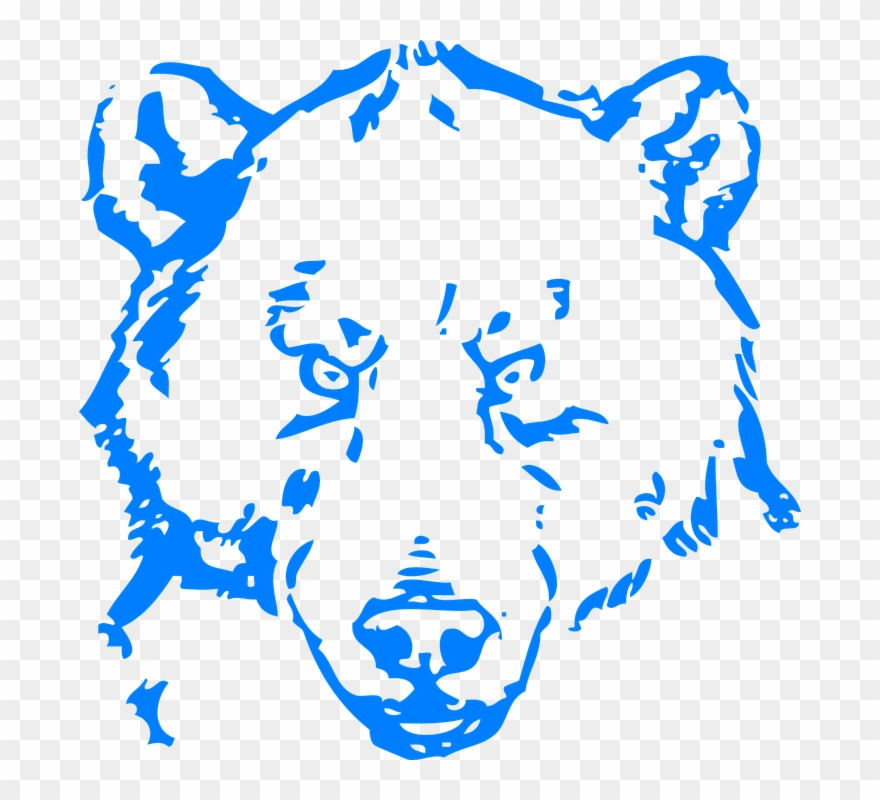 880x800 Bear Head Angry - Polar Bear Head Drawing