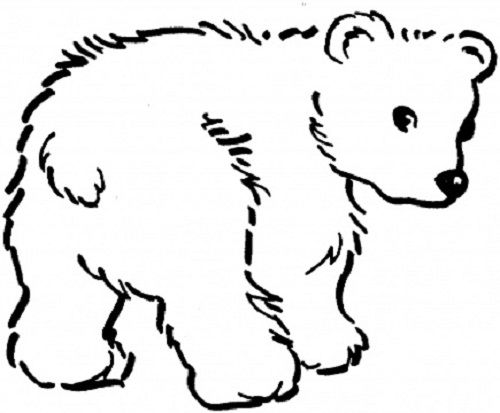 500x413 Polar Bear Coloring Sheet - Polar Bear Line Drawing