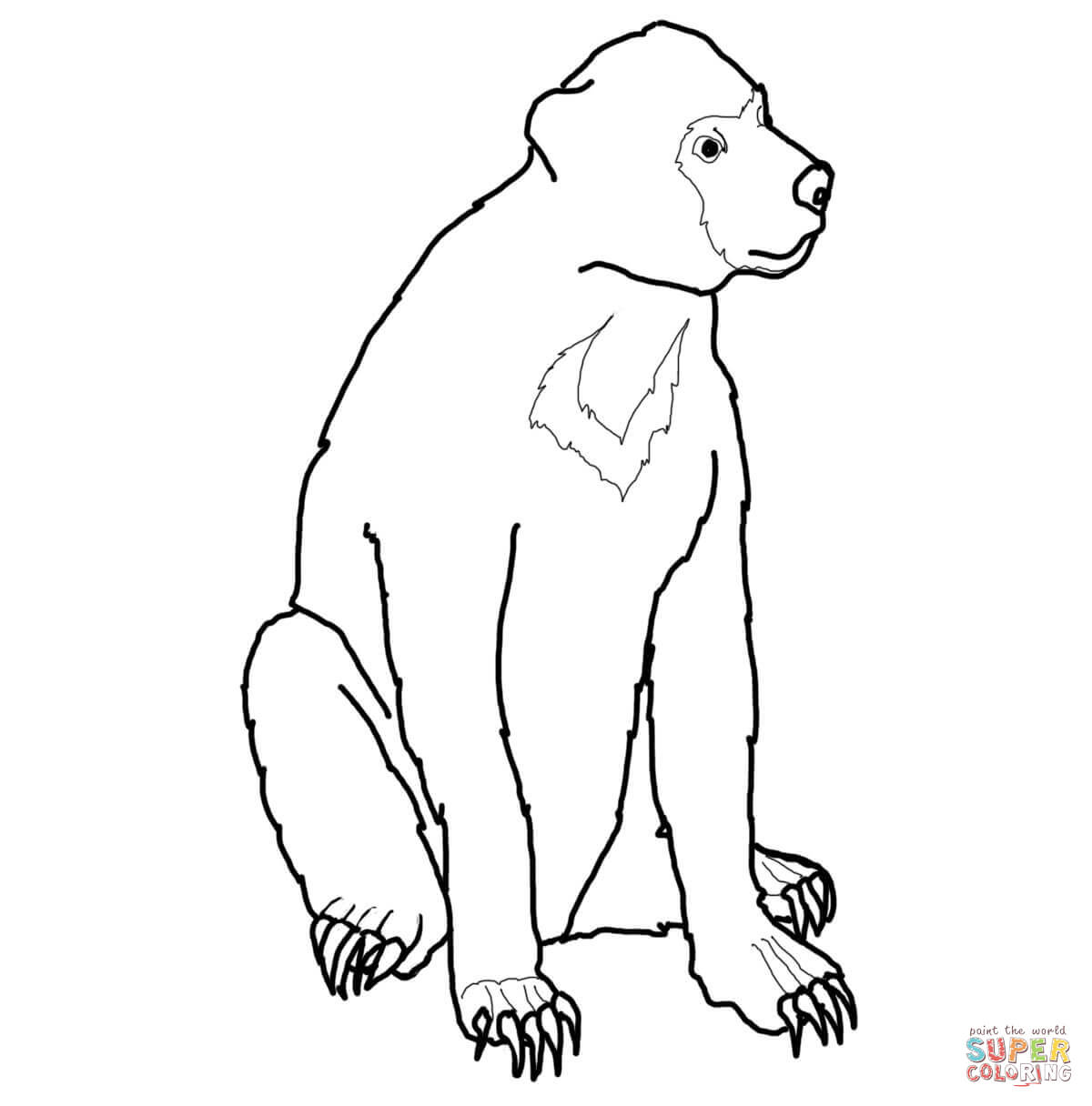 1200x1216 polar bear coloring sheet free with polar bear line drawing - Polar Bear Line Drawing