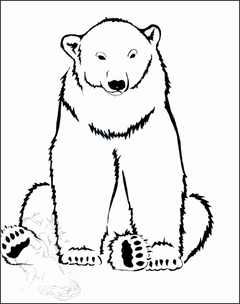 828x1047 polar bear outline drawing ocsec luxury drawn polar bear line - Polar Bear Line Drawing