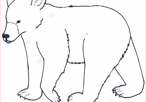 300x210 polar bear drawing for kids winter polar bear coloring pages - Polar Bear Outline Drawing