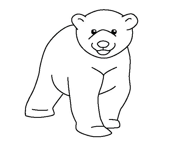 573x475 polar bears coloring pages endangered animals coloring pages polar - Polar Bear Outline Drawing