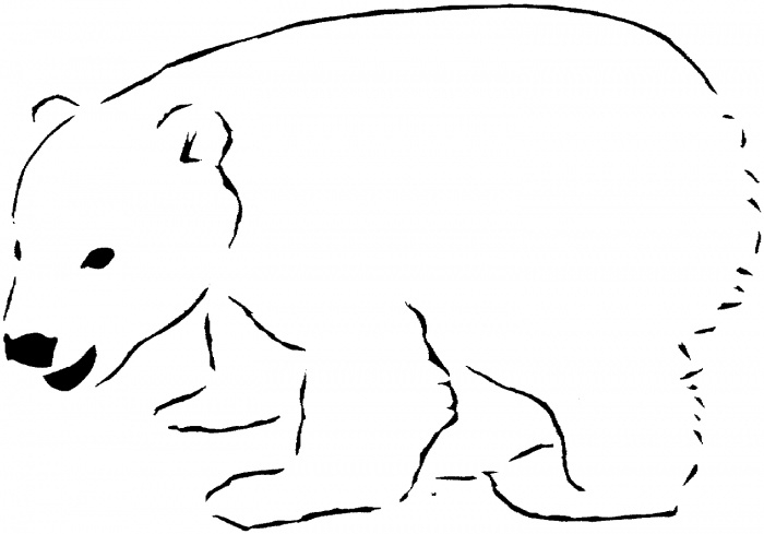 700x489 Polar Bear Drawing Template - Polar Bear Outline Drawing