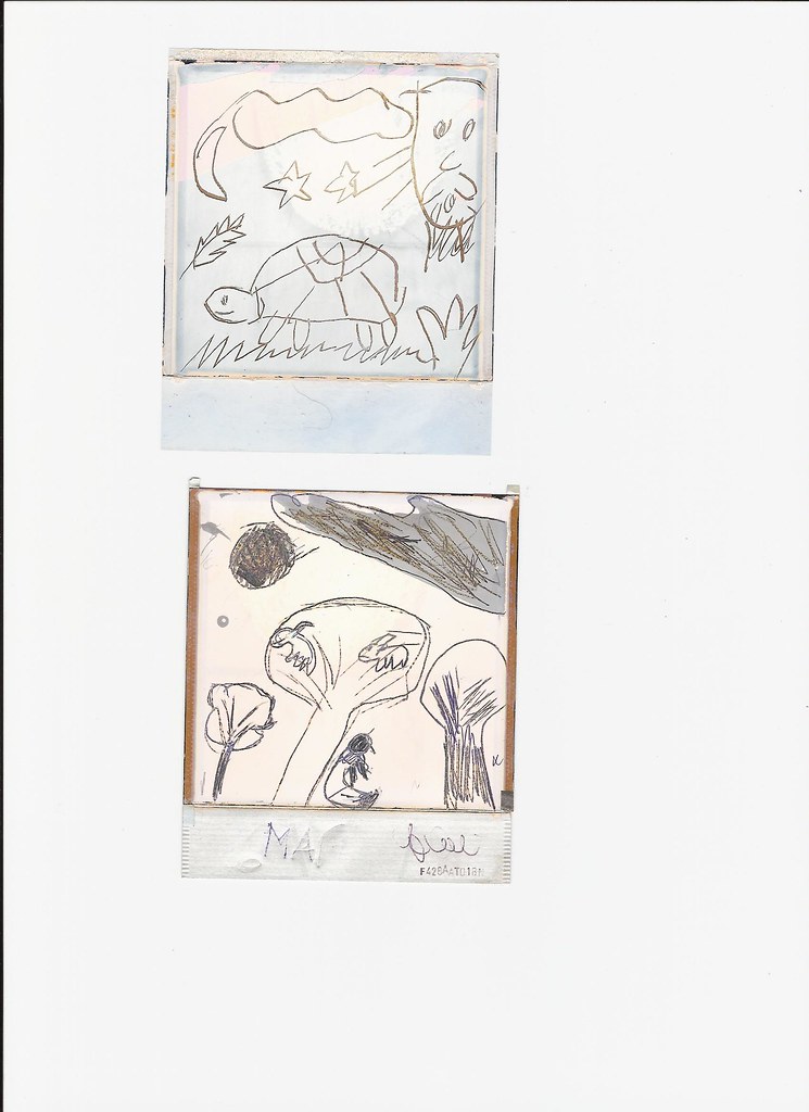 745x1024 Polaroid Drawing Drawing Made On The Halves - Polaroid Drawing