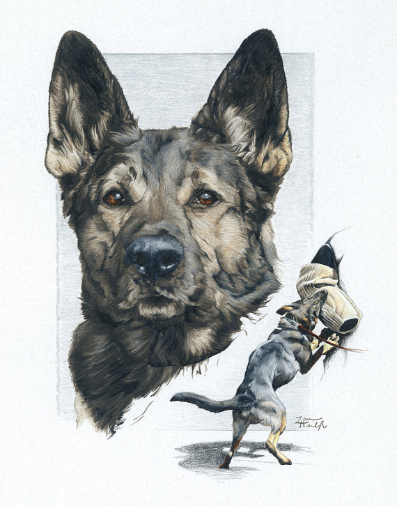 570x726 Greeting Card Of German Shepherd Police Drawing Items For Dog - Police Dog Drawing