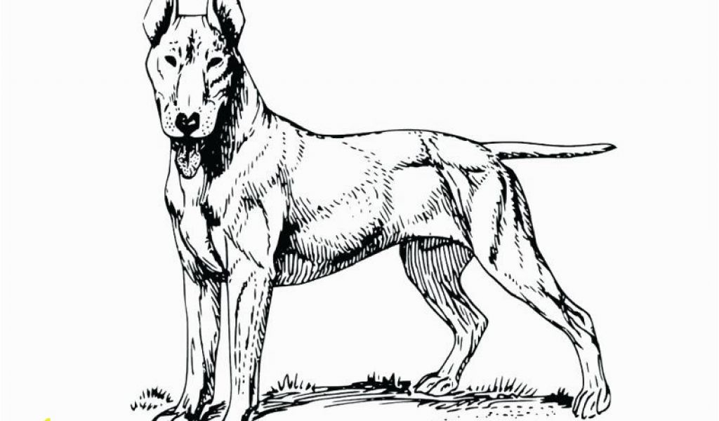 1024x600 police dog coloring pages printable realistic dog coloring pages - Police Dog Drawing