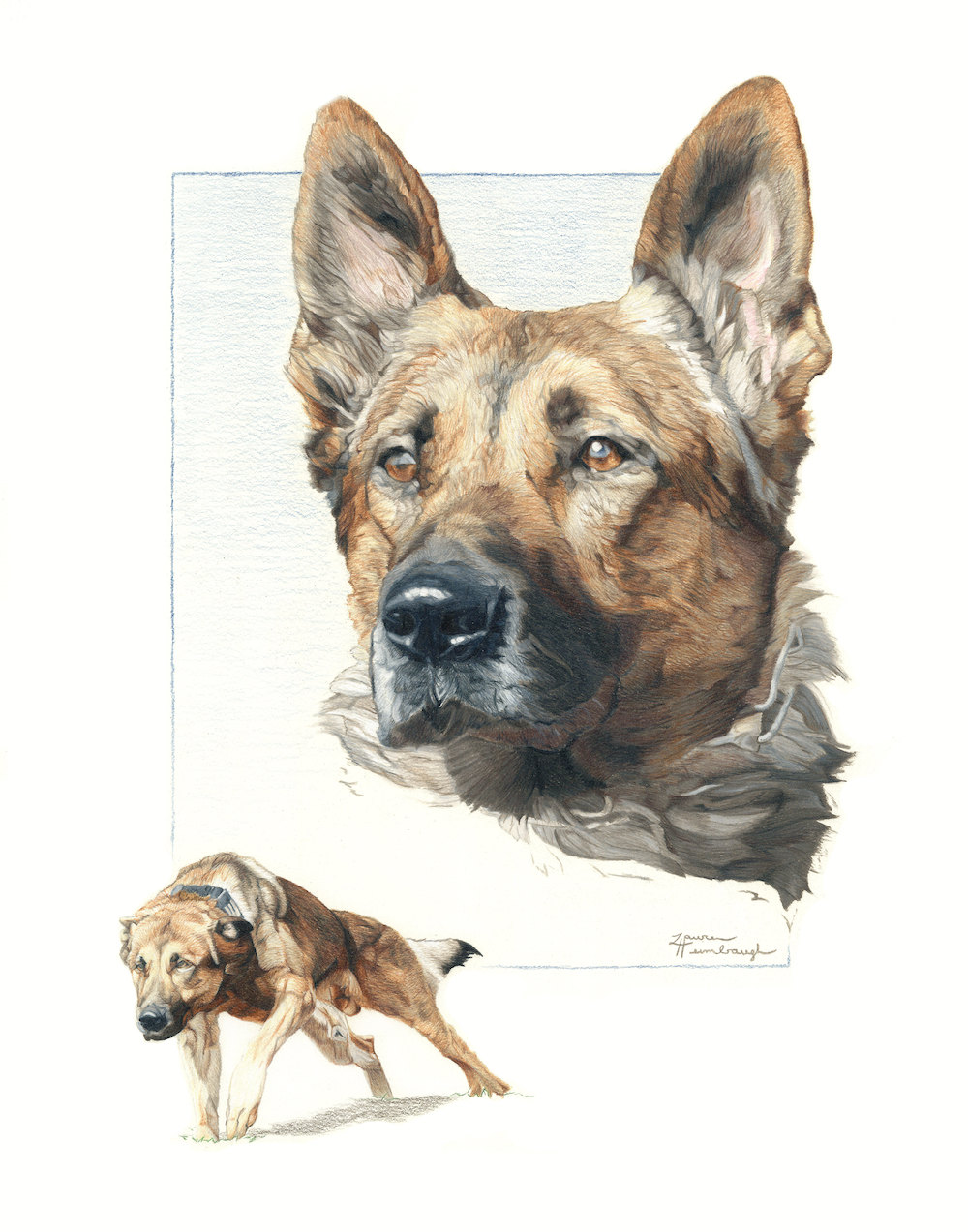 Police Dog Drawing at Explore collection of Police