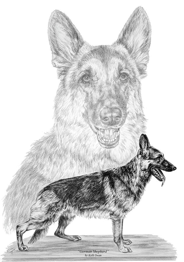 632x900 German Shepherd Dogs Print Drawing - Police Dog Drawing