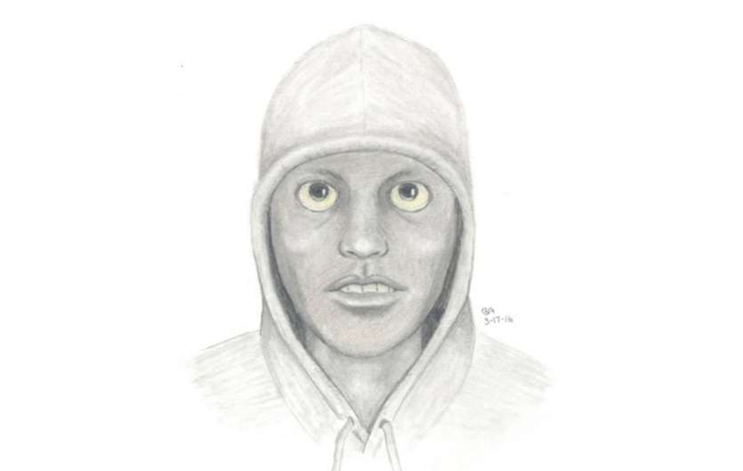 835x529 free police sketch artist software - Police Drawing Artist