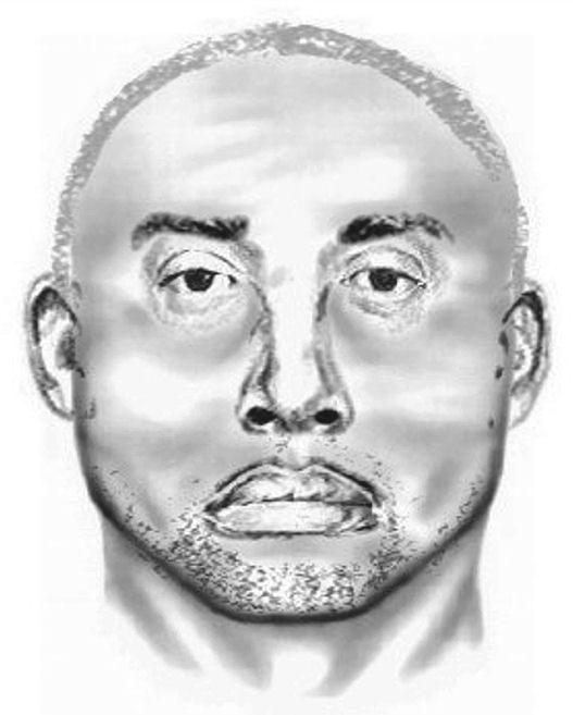 527x657 falls using facial recognition software in abduction try - Police Drawing Software