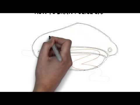 480x360 How To Draw Police Cap - Police Hat Drawing