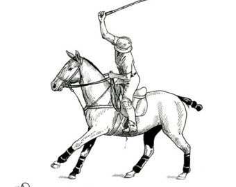 340x270 Polo Drawings Etsy - Polo Drawinging