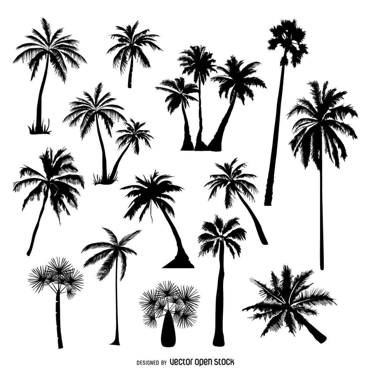 1264x1264 pom pom tree drawing tree drawing palm trees drawings group - Pom Pom Drawing