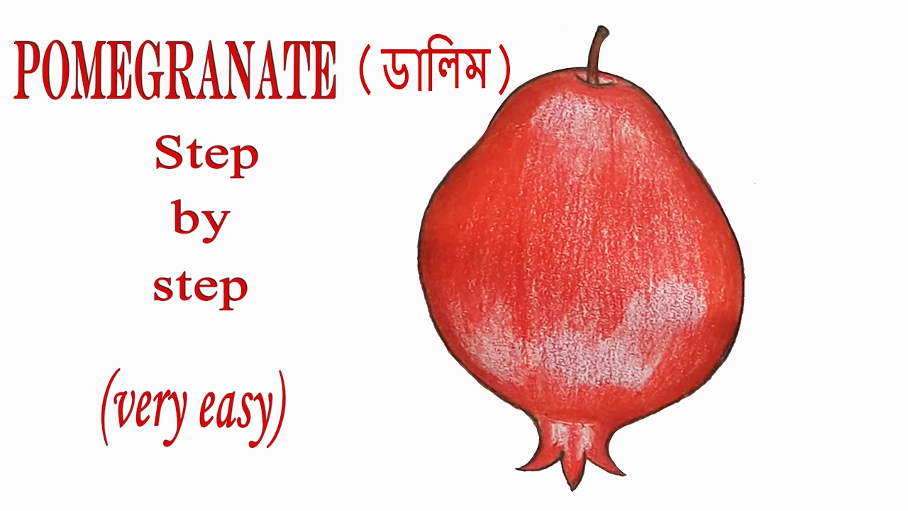 1280x720 How To Draw A Pomegranate Step - Pomegranate Drawing