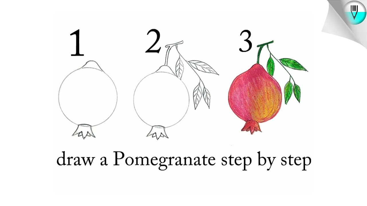 pomegranate drawing