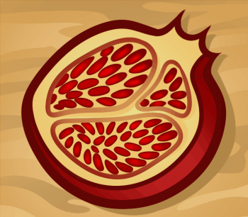 350x306 How To Draw How To Draw A Pomegranate - Pomegranate Drawing