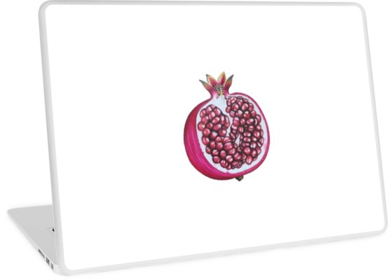 558x400 Pomegranate Drawing Laptop Skins - Pomegranate Drawing