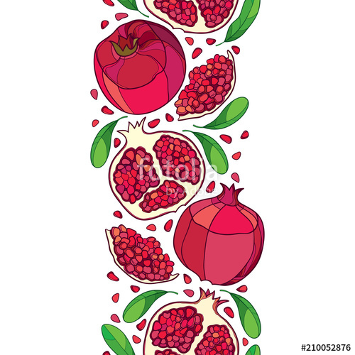 500x500 Vector Seamless Pattern With Outline Red Pomegranate Half - Pomegranate Drawing