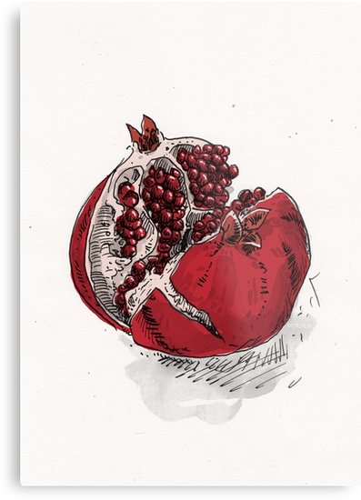 397x550 Pomegranate Drawing Metal Prints - Pomegranate Drawing