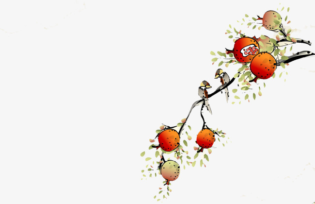 650x420 Drawing Pomegranate Branch, Branch Clipart, Watercolor - Pomegranate Drawing