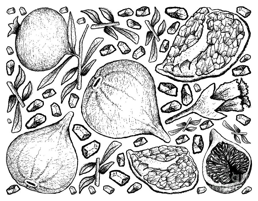 900x700 Hand Drawn Background Of Fresh Figs And Pomegranate Drawing - Pomegranate Drawing