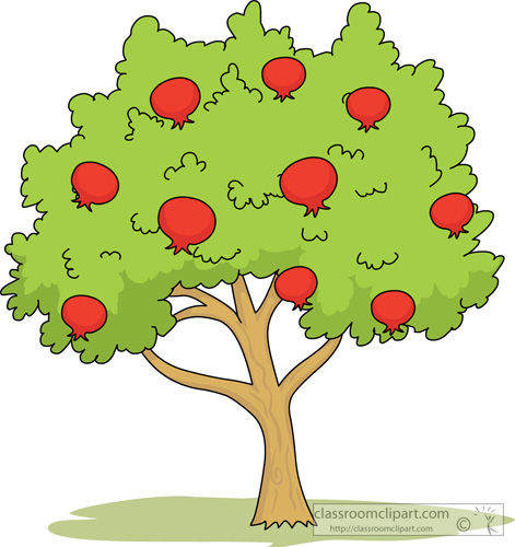 471x500 cherry tree clipart pomegranate - Pomegranate Tree Drawing