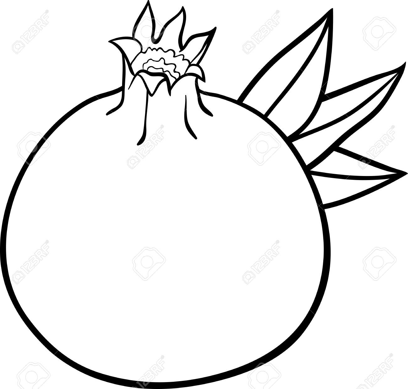 Pomegranate Tree Drawing at Explore collection of