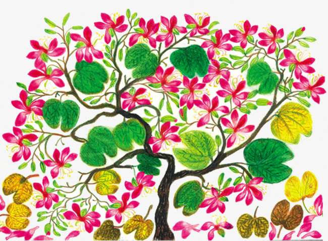 650x479 pomegranate tree flowering hand drawing vector, tree clipart - Pomegranate Tree Drawing