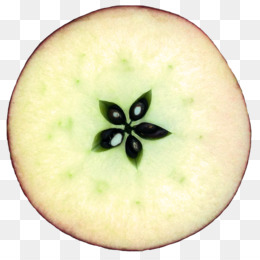 260x260 pomegranate tree png - Pomegranate Tree Drawing