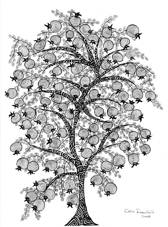 660x890 pomegranate tree - Pomegranate Tree Drawing
