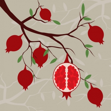 368x368 red fruit drawing free vector download - Pomegranate Tree Drawing
