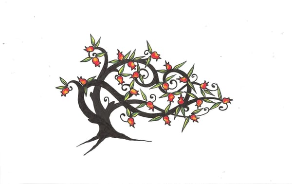 600x378 the pomegranate tree - Pomegranate Tree Drawing