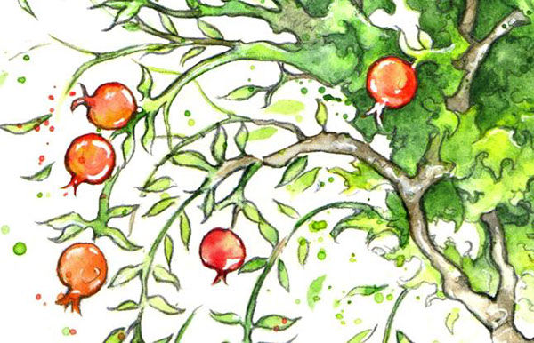 The Pomegranate Tree Logo Design On Behance - Pomegranate Tree Drawing. 
