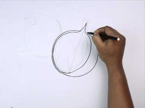480x360 how to draw pomegranates - Pomegranate Tree Drawing