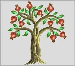 240x210 image result for pomegranate plant drawing pomegranates - Pomegranate Tree Drawing