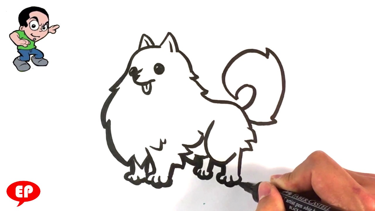 1280x720 How To Draw A Pomeranian Dog - Pomeranian Drawing