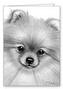 214x300 Pomeranian Coloring Pages - Pomeranian Drawing