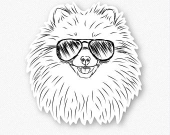 340x270 Pomeranian Drawing Etsy - Pomeranian Drawing
