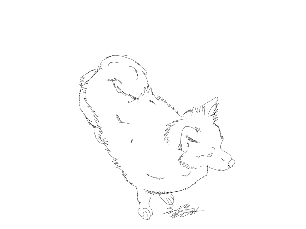1032x774 Collection Of Free Pomeranian Drawing Line Download On Ui Ex - Pomeranian Outline Drawing