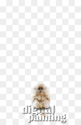260x400 Pomeranian Png - Pomeranian Outline Drawing