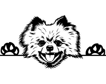 340x270 Pomeranian Etsy - Pomeranian Outline Drawing