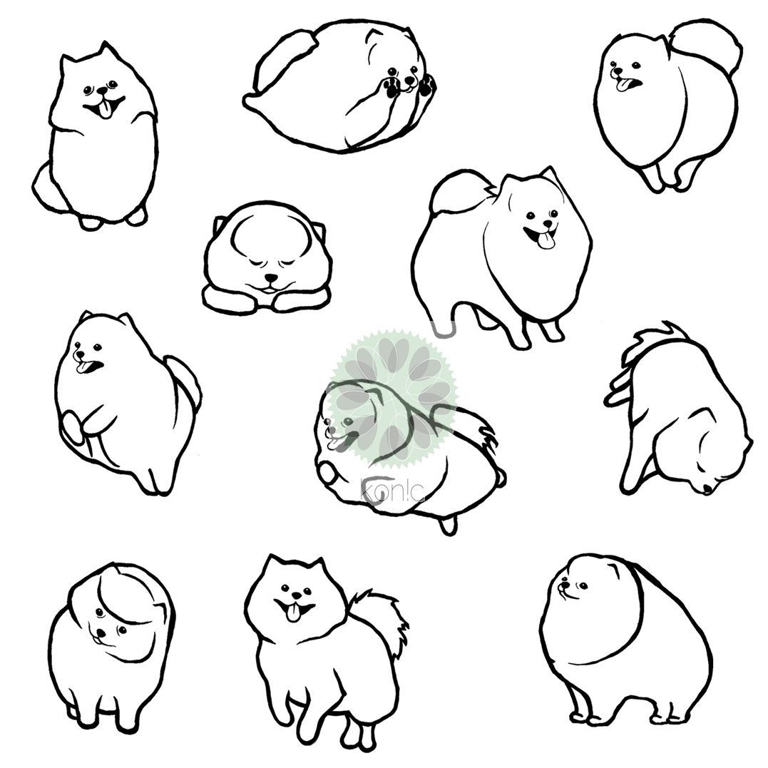 1077x1077 Pomeranian Pomeranians Pommies Pommie Poms Drawings Illustrations - Pomeranian Outline Drawing