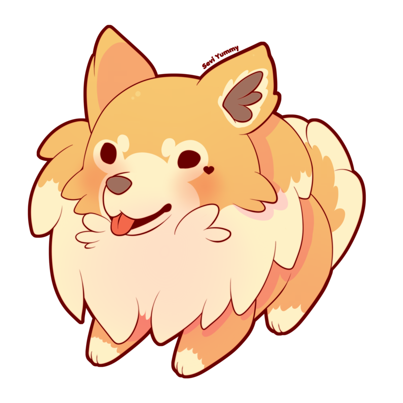 800x800 Drawing Puppy Pomeranian Huge Freebie! Download For Powerpoint - Pomeranian Outline Drawing