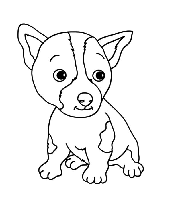 600x777 Pomeranian Drawing Baby For Free Download - Pomeranian Outline Drawing