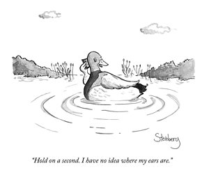 300x257 a floating duck on a lake drawing - Pond Drawing