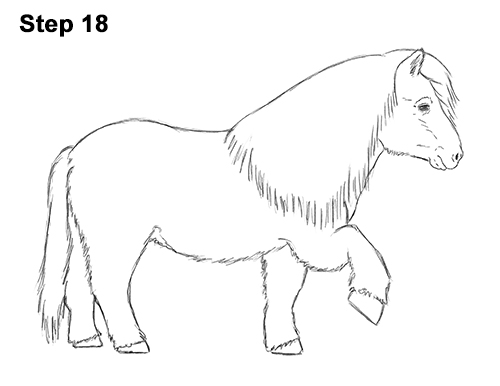 500x386 How To Draw A Pony - Pony Drawing