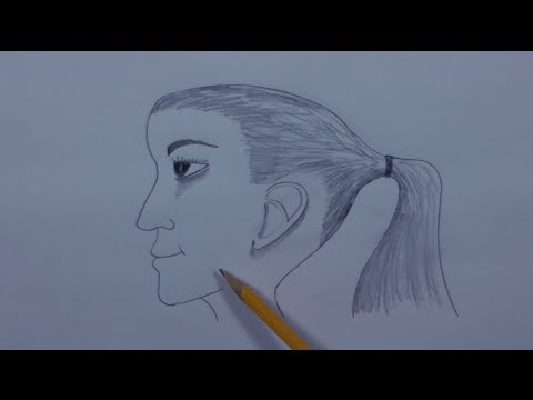 480x360 how to draw a ponytail hair - Ponytail Drawing