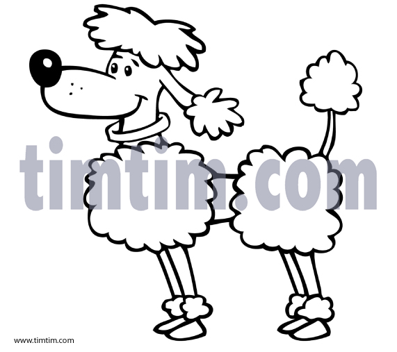571x507 free drawing of a poodle dog bw from the category pets - Poodle Cartoon Drawing