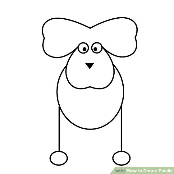560x560 how to draw a poodle - Poodle Cartoon Drawing