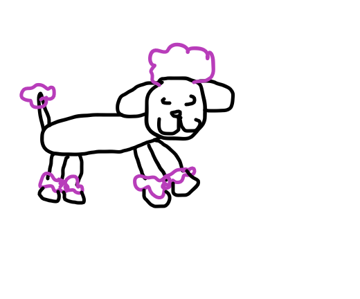 520x432 how to draw a poodle - Poodle Cartoon Drawing